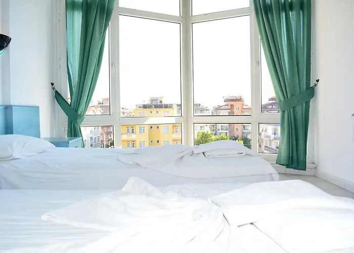 Babaoglu Αλάνια